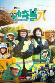 예측불가