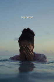 Seahorse