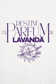 Destine cu parfum de lavandă